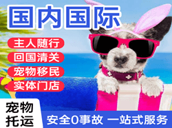 湿地空运代理国际宠物托运 【国